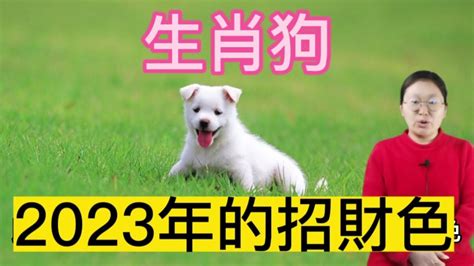 生肖狗 幸運色|2024屬狗幾歲、2024屬狗運勢、屬狗幸運色、財位、禁忌